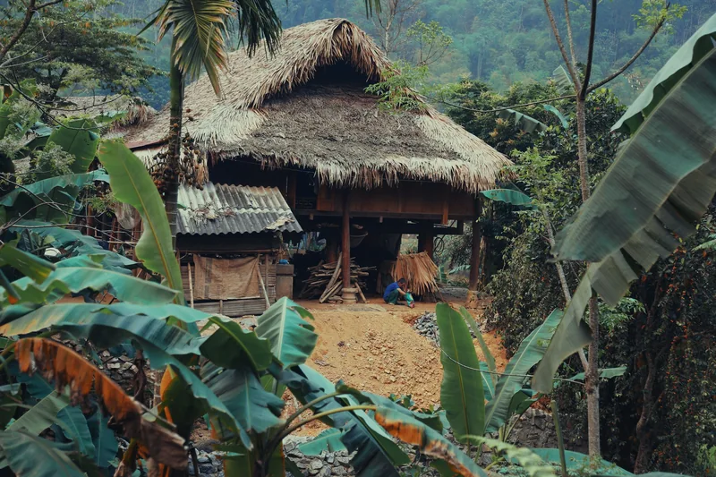 Ngôi nhà mái lá giữa cây xanh Pù Luông