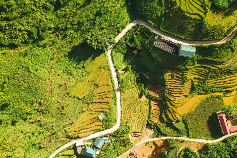 Ruộng bậc thang Sa Pa